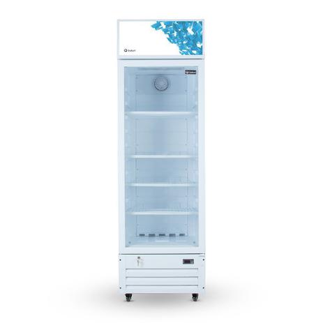 Menor preço em Expositor Refrigerado Visa Cooler Gallant 278L Vidro Duplo 220V