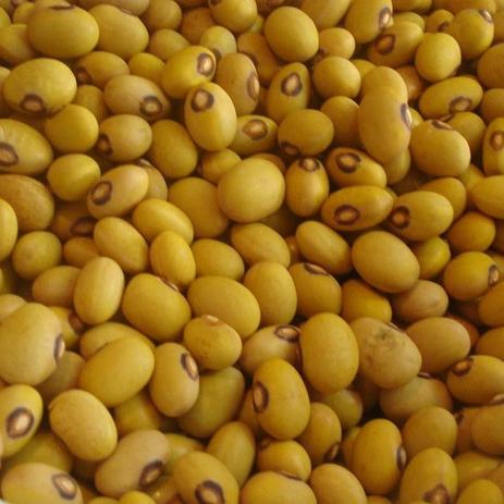 Feijao Bolinha 500g N4 Natural Feijao Magazine Luiza