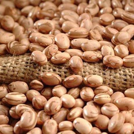 Feijao Carioca Granel 100g Sabor Em Graos Feijao Magazine Luiza