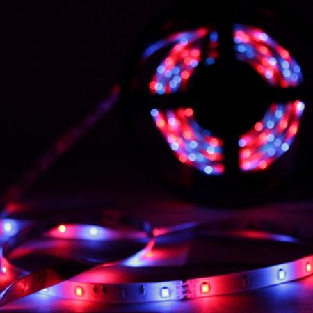 Fita led 3528 rgb 300leds com controladora - Powerxl é ruim? Fita led 3528 rgb 300leds com controladora - Powerxl é boa?