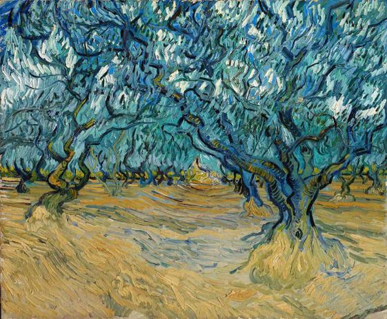 Florada das Oliveiras - Vincent van Gogh - Tela 30x36 Para Quadro - Santhatela Menor preço em Florada das Oliveiras - Vincent van Gogh - Tela 30x36 Para Quadro - Santhatela