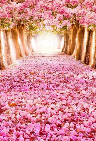 Fundo Fotografico Em Tecido Sublimado Floresta Rosa Sublime Sonhos Fundo Fotografico Magazine Luiza Fundo Fotografico Em Tecido Sublimado Floresta Rosa Sublime Sonhos Fundo Fotografico Magazine Luiza