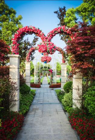 Fundo Fotografico Jardim 148x210cm Tudoprafoto Fundo Fotografico Magazine Luiza