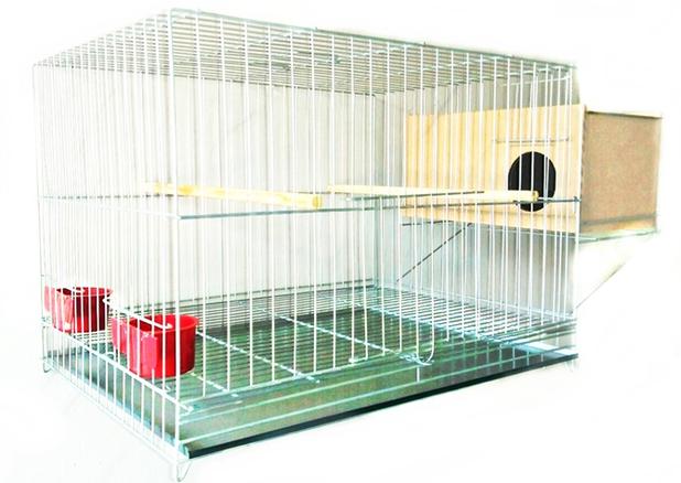 Gaiola Criadeira Para Calopsita e Agapornis com Suporte e Ninho Externo (28) - Atalaia Menor preço em Gaiola Criadeira Para Calopsita e Agapornis com Suporte e Ninho Externo (28) - Atalaia