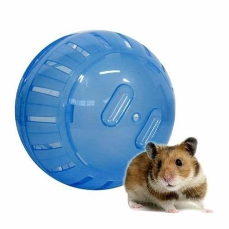 Globo Bola para Hamster Pequeno Jel Plast Happy Pet Menor preço em Globo Bola para Hamster Pequeno Jel Plast Happy Pet