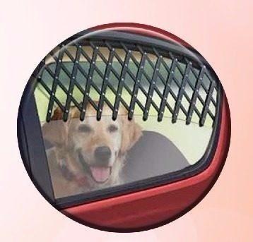 Grade Porta Caes Pet Proteçao Segurança Janela De Carro 18,* - Bom Amigo Pet Menor preço em Grade Porta Caes Pet Proteçao Segurança Janela De Carro 18,* - Bom Amigo Pet