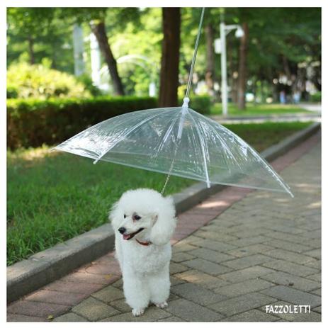 Guarda Chuva Pet Cachorro Fazzoletti Menor preço em Guarda Chuva Pet Cachorro Fazzoletti