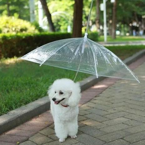 Guarda Chuva Pet Cachorros e Gatos - Hiper Textil Menor preço em Guarda Chuva Pet Cachorros e Gatos - Hiper Textil