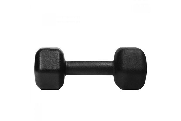 Halter Sextavado de Ferro Fundido Pintado - 9 Kg - Fundição unibrás Menor preço em Halter Sextavado de Ferro Fundido Pintado - 9 Kg - Fundição unibrás
