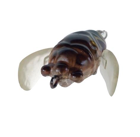Isca artificial lizard bug lure 4,5cm 5,5gr cor 01 honey/black Menor preço em Isca artificial lizard bug lure 4,5cm 5,5gr cor 01 honey/black
