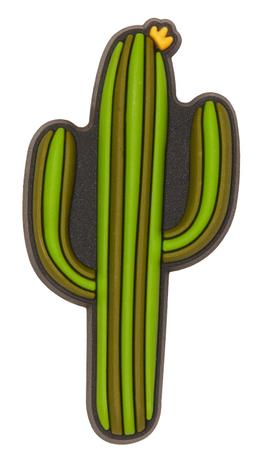 cactus croc charm