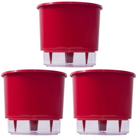 Jogo 3 Vasos Raiz Auto Irrigável Rainbow Vermelho 12x11cm Menor preço em Jogo 3 Vasos Raiz Auto Irrigável Rainbow Vermelho 12x11cm