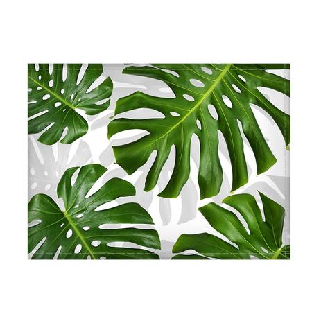Jogo americano diferente, criativo, moderno FOLHA COSTELA DE ADÃO VERDE - tamanho 30 x 40 cm - Colours creative photo decor Menor preço em Jogo americano diferente, criativo, moderno FOLHA COSTELA DE ADÃO VERDE - tamanho 30 x 40 cm - Colours creative photo decor