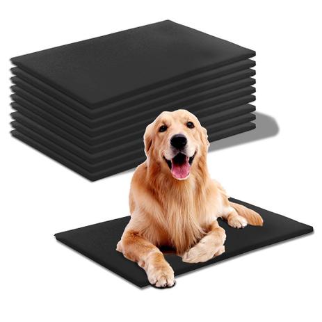 Kit 10 Colchonetes Pet Canil Espuma Impermeável Corvin 85x45x3cm - BF Colchões Menor preço em Kit 10 Colchonetes Pet Canil Espuma Impermeável Corvin 85x45x3cm - BF Colchões