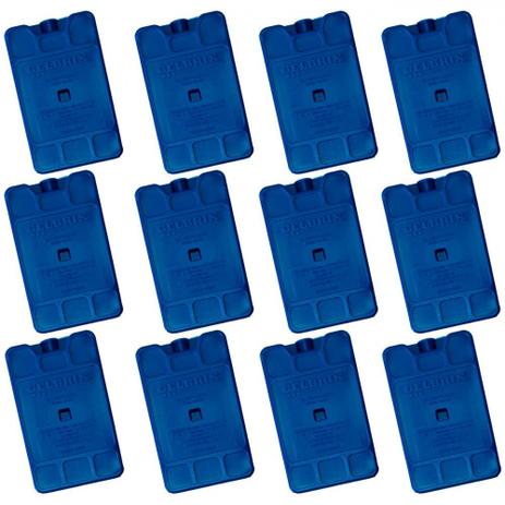 Kit 12 Gelos 17x10 Cm Artificial Reutilizavel Plastico Gelbrix Menor preço em Kit 12 Gelos 17x10 Cm Artificial Reutilizavel Plastico Gelbrix
