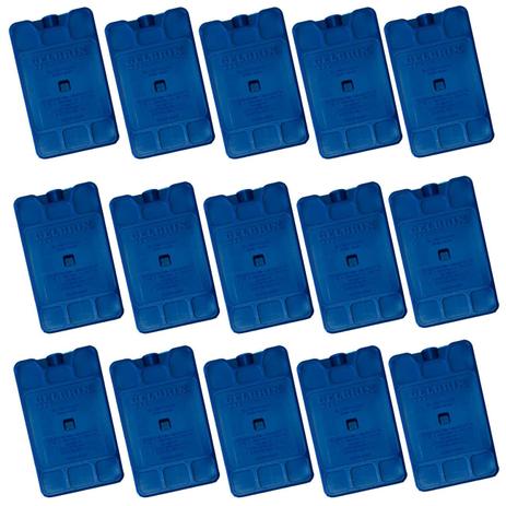 Kit 15 Un Gelo 17x10 Cm Artificial Reutilizavel Plastico Reciclavel Gelbrix Menor preço em Kit 15 Un Gelo 17x10 Cm Artificial Reutilizavel Plastico Reciclavel Gelbrix