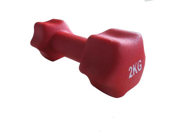 Kit 2 Halteres em Ferro Fundido Revestido com Neoprene Pelegrin PEL-002D 2kg - Vermelho Menor preço em Kit 2 Halteres em Ferro Fundido Revestido com Neoprene Pelegrin PEL-002D 2kg - Vermelho