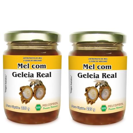 Kit 2 Mel de Abelhas com Geleia Real 440g Melcoprol Menor preço em Kit 2 Mel de Abelhas com Geleia Real 440g Melcoprol