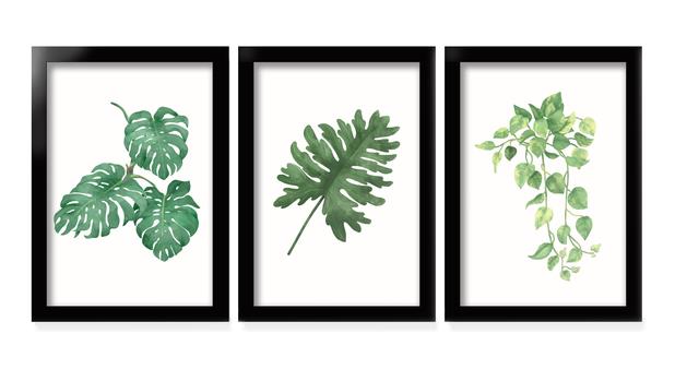 Featured image of post Imagens De Plantas Para Quadros / Quer saber como usar quadros para quarto de casal e deixar a sua decoração personalizada?