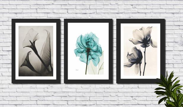 Kit 3 Quadros Decorativos Flores Minimalistas Verde Quadro Decorativo Magazine Luiza Saiba mais sobre magazine luiza. kit 3 quadros decorativos flores minimalistas verde