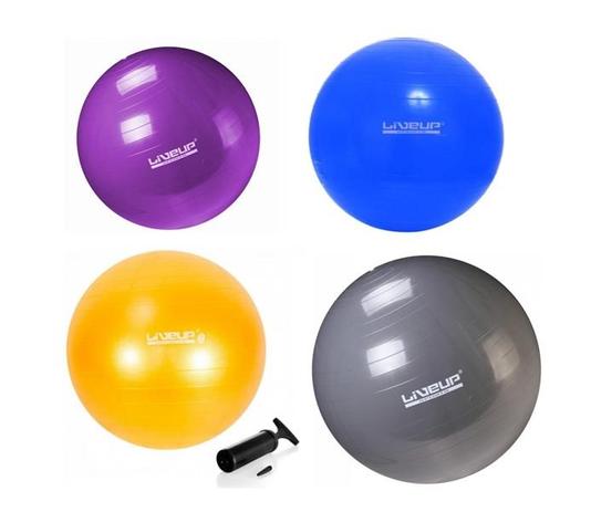 Kit 4 Bolas De Ginástica 55 65 75 E 85 Cm Com Bomba Liveup Menor preço em Kit 4 Bolas De Ginástica 55 65 75 E 85 Cm Com Bomba Liveup