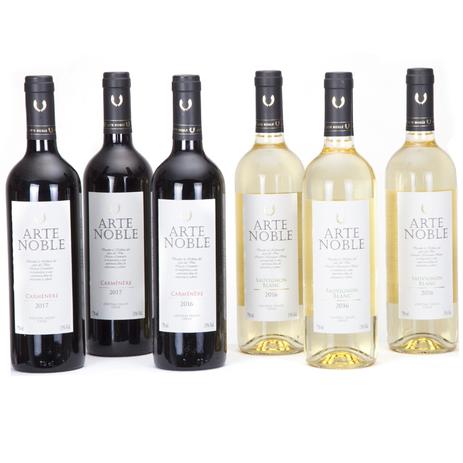 Kit 6 unidades Vinho Chileno Arte Noble 750ml - Shop quality Menor preço em Kit 6 unidades Vinho Chileno Arte Noble 750ml - Shop quality
