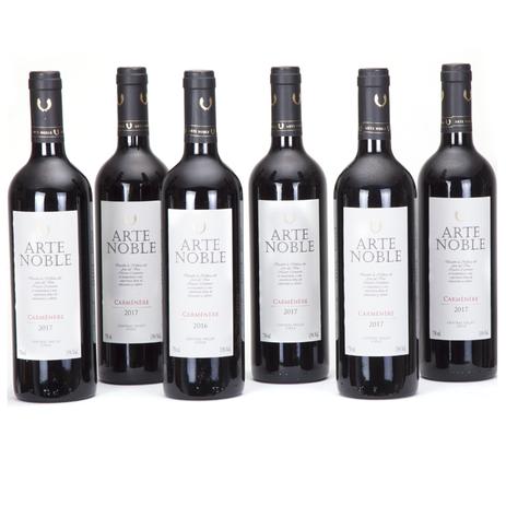 Kit 6 unidades Vinho Chileno Arte Noble Carmenere 750ml - Shop quality Menor preço em Kit 6 unidades Vinho Chileno Arte Noble Carmenere 750ml - Shop quality