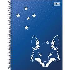 Kit c/ 4 Caderno Cruzeiro 96F Capa Dura Oficial - 104099 - ptilibra/p é boa?
