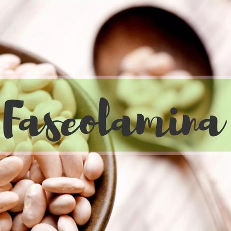 Kit Capsula Faseolamina 300mg - 3 potes - Florien Menor preço em Kit Capsula Faseolamina 300mg - 3 potes - Florien