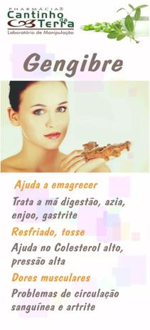Kit Capsula Gengibre 500mg - 3 potes - Vitafarma Menor preço em Kit Capsula Gengibre 500mg - 3 potes - Vitafarma