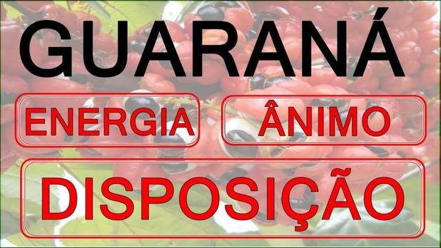 Kit Capsula Guaraná 250mg - 2 potes - All chemistry Menor preço em Kit Capsula Guaraná 250mg - 2 potes - All chemistry