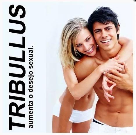 Kit Capsula Tribulus Terrestris 500mg - 2 potes - Infinity pharma Menor preço em Kit Capsula Tribulus Terrestris 500mg - 2 potes - Infinity pharma