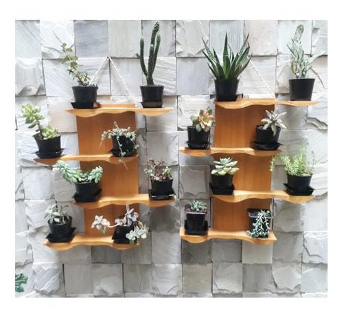 Kit com 2 Suportes de Parede para Suculentas ou Mini Cactus Modelo Oceano - Cor Amarelo Queimado - Madetop Menor preço em Kit com 2 Suportes de Parede para Suculentas ou Mini Cactus Modelo Oceano - Cor Amarelo Queimado - Madetop