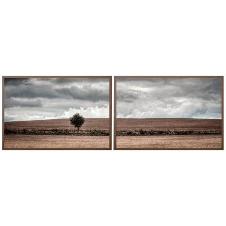 Kit de Quadros Decorativos com Moldura Marrom Paisagem Árvore Kit com 2 Quadros de 78x53cm - Decore pronto Menor preço em Kit de Quadros Decorativos com Moldura Marrom Paisagem Árvore Kit com 2 Quadros de 78x53cm - Decore pronto