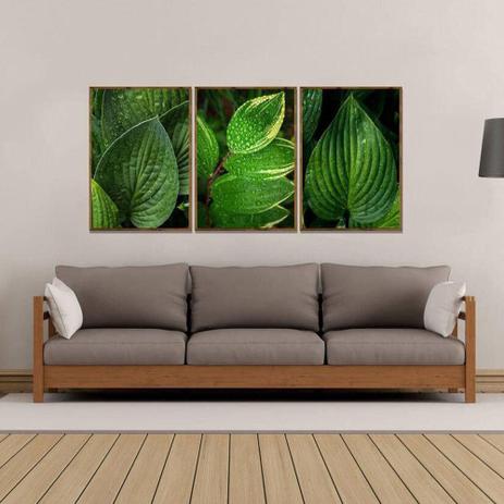 Kit de Quadros Moldura Rústica Folhas Verdes Kit com 3 Quadros de 70x100cm - Decore pronto Menor preço em Kit de Quadros Moldura Rústica Folhas Verdes Kit com 3 Quadros de 70x100cm - Decore pronto