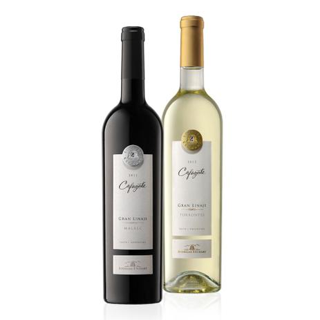 Kit de Vinhos Intermediário - Drinksco Menor preço em Kit de Vinhos Intermediário - Drinksco