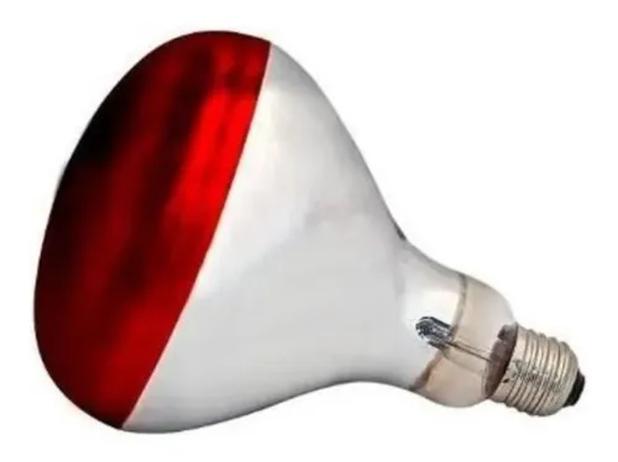 Lampada Infravermelho 250w 220v - HALOTECH Menor preço em Lampada Infravermelho 250w 220v - HALOTECH