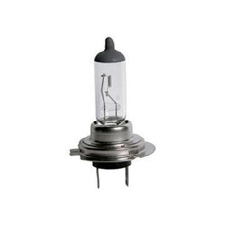 Lâmpada tipo h7 24v 70w - Magneti marelli Menor preço em Lâmpada tipo h7 24v 70w - Magneti marelli