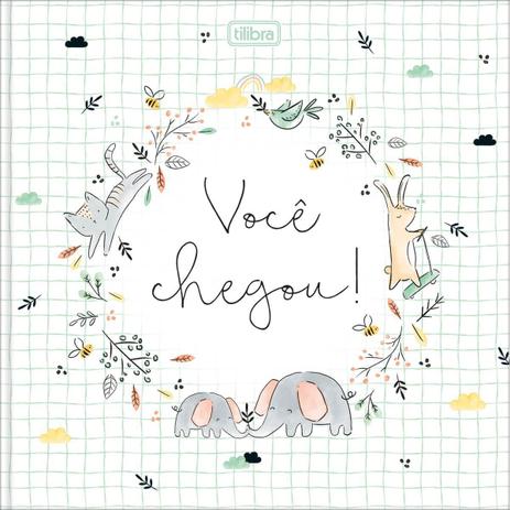 Livro diario bebe Clearance