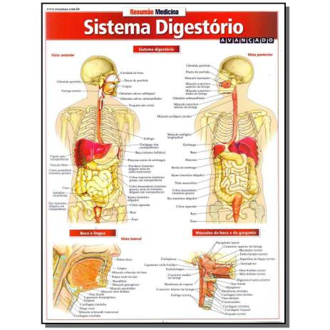Livro - Resumao Medicina - Sistema Digestorio Avancado Menor preço em Livro - Resumao Medicina - Sistema Digestorio Avancado