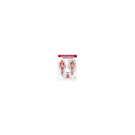 Livro - Resumão Sistema Muscular Avançado Menor preço em Livro - Resumão Sistema Muscular Avançado