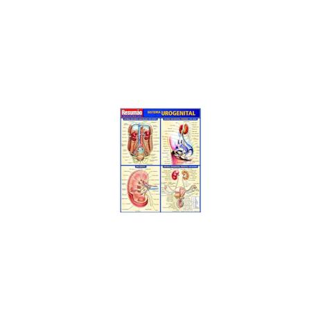 Livro - Resumão Sistema Urogenital - França - Artmed Menor preço em Livro - Resumão Sistema Urogenital - França - Artmed