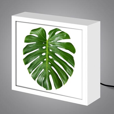 Luminária Lightbox caixa de luz moderna, diferente, criativa e colorida FOLHA COSTELA DE ADÃO VERDE - Colours creative photo decor Menor preço em Luminária Lightbox caixa de luz moderna, diferente, criativa e colorida FOLHA COSTELA DE ADÃO VERDE - Colours creative photo decor