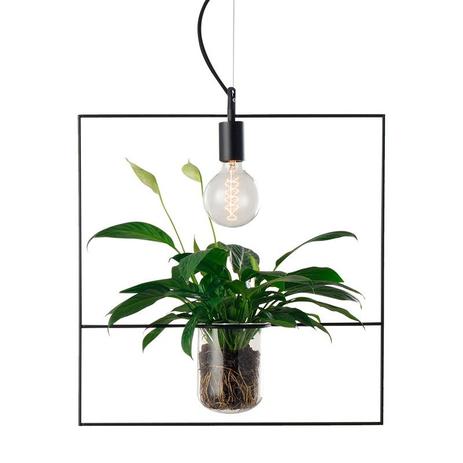 Lustre Pendente Avant Nature Quadrado Preto E27 Bivolt Menor preço em Lustre Pendente Avant Nature Quadrado Preto E27 Bivolt