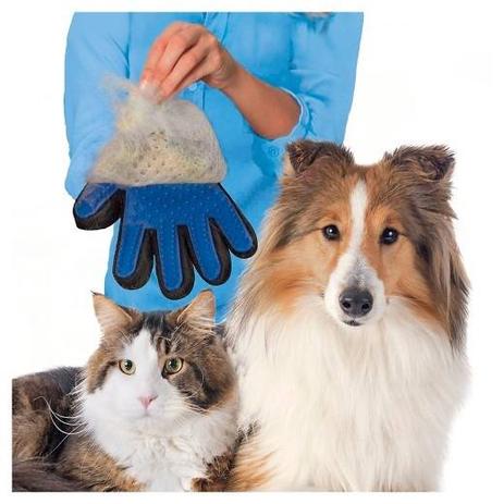 Luva Escova Mágica Tira Pelos Dos Pets Cães e Gatos - Truet Menor preço em Luva Escova Mágica Tira Pelos Dos Pets Cães e Gatos - Truet