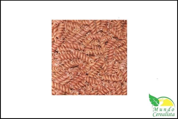 Macarrão Espiral (Parafuso) Integral Beterraba - Granel - Mundo cerealista Menor preço em Macarrão Espiral (Parafuso) Integral Beterraba - Granel - Mundo cerealista