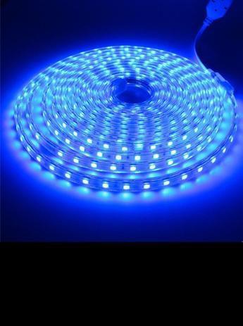 Mangueira Luz Led Fita Led Rolo 10 metros 240 Luzes Natal Decoração 8 funções Menor preço em Mangueira Luz Led Fita Led Rolo 10 metros 240 Luzes Natal Decoração 8 funções