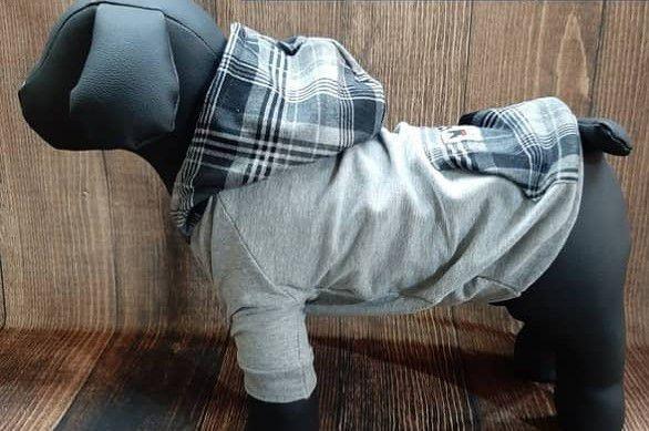 Moletom para Cachorro c/ Capuz e Bolso Canguru GG - Chilli Pet Menor preço em Moletom para Cachorro c/ Capuz e Bolso Canguru GG - Chilli Pet