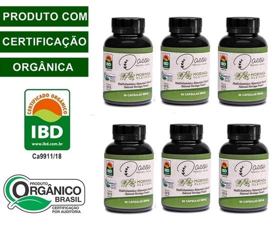 Moringa Oleifera Capsulas (Kit com 06 potes) - 100 Natural - Orgânica - Dacov - Dacov cosméticos Menor preço em Moringa Oleifera Capsulas (Kit com 06 potes) - 100 Natural - Orgânica - Dacov - Dacov cosméticos