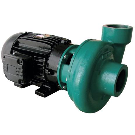 Motobomba Centrífuga 12.5cv Trifásica 220-380v ECS-1250 Eletroplas Menor preço em Motobomba Centrífuga 12.5cv Trifásica 220-380v ECS-1250 Eletroplas
